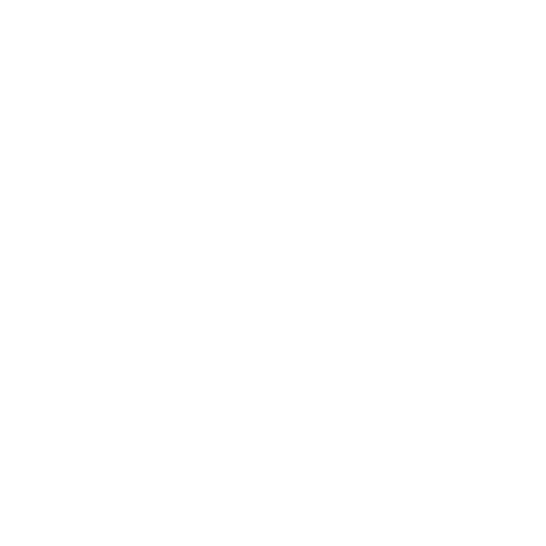The Raw Edit